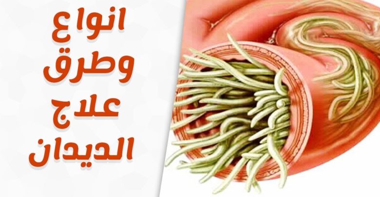 علاج دود البطن من الصيدليه للكبار