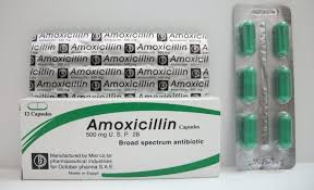 amoxicillin 500 دواعي الاستعمال والجرعات وطريقة وموانع ...