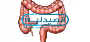 ادوية القولون لعلاج القولون العصبي نهائياً